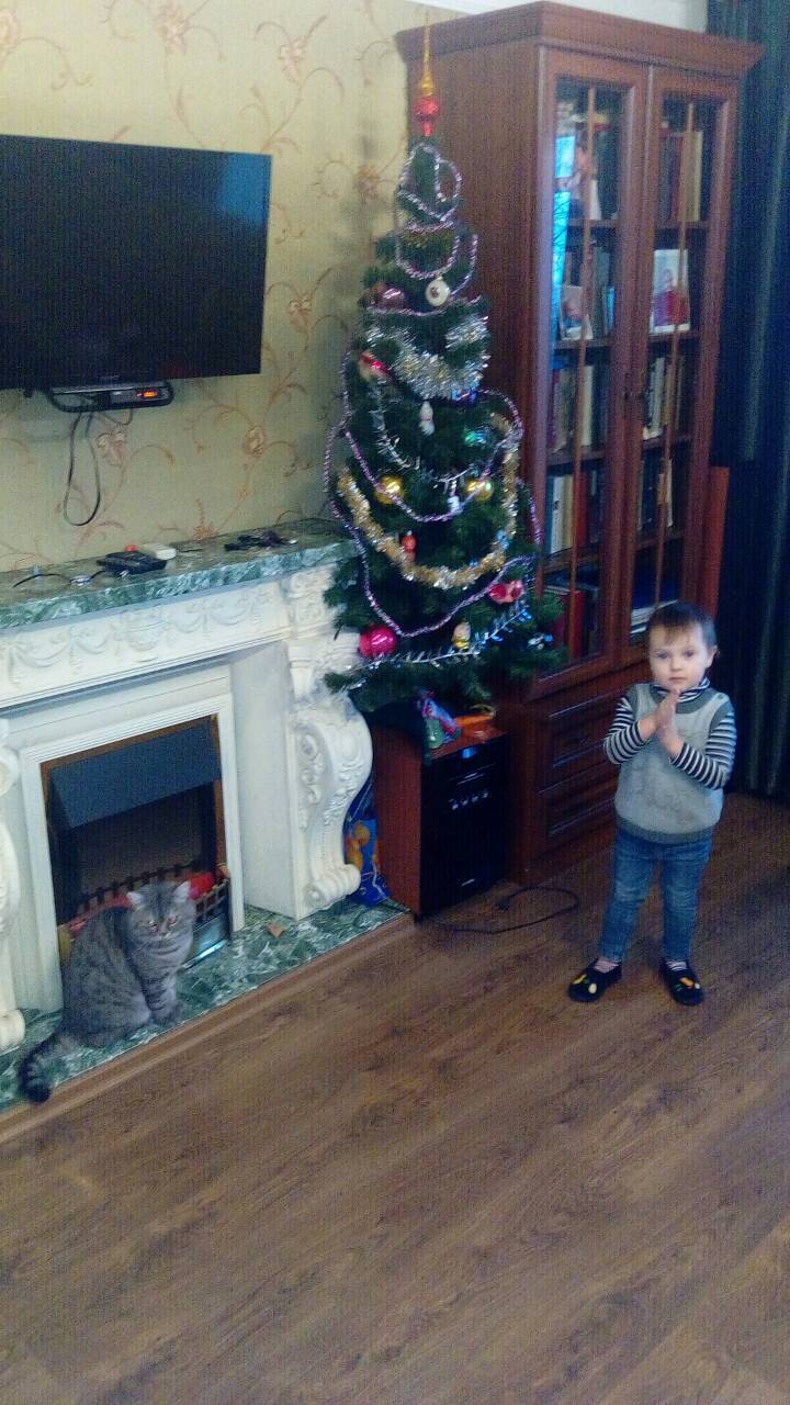 How we removed the Christmas tree, with the permission of a 3 year old child - My, Christmas trees, Children, Contract, Upbringing, Longpost