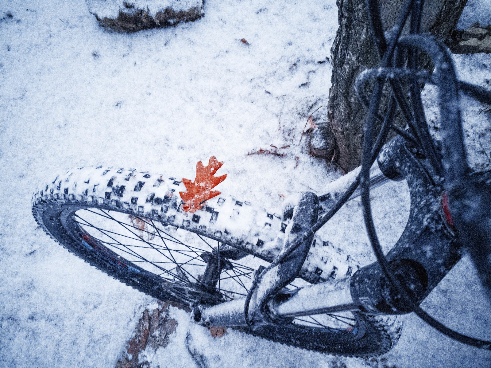 Мои фото с велопрогулок 12.01.2018 - Моё, Велосипед, Город Энгельс, Formatbikes, Зима, Мобильная фотография, Honor 6x, Зашакалено, Длиннопост