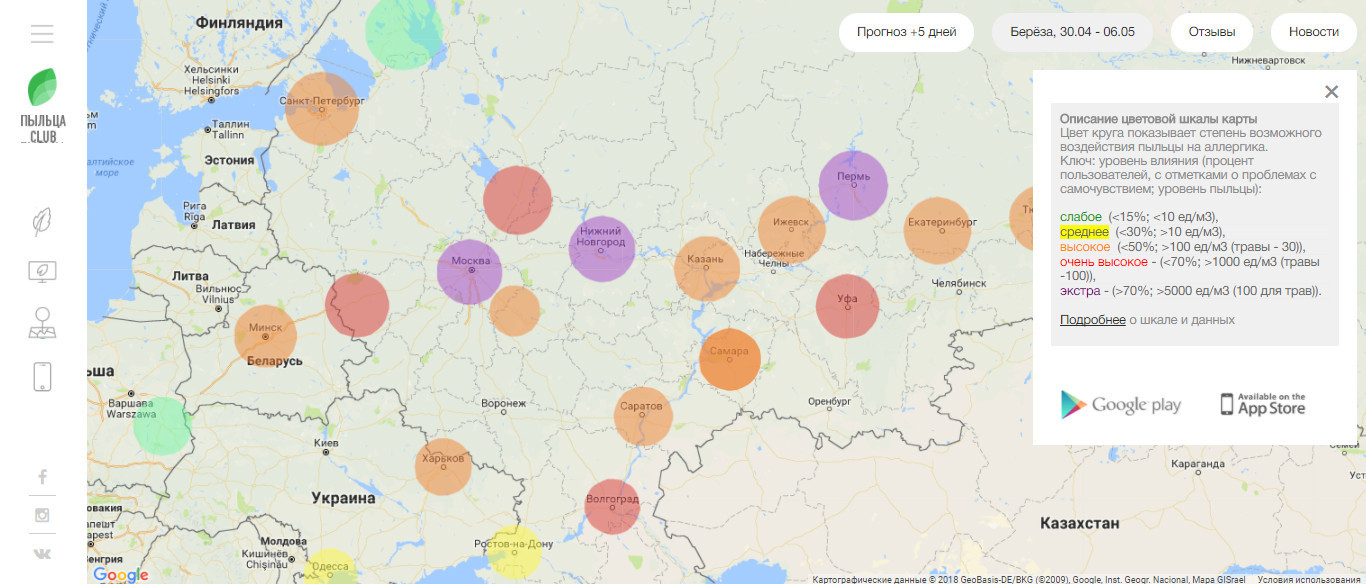 Уровень пыльцы в москве. Карта цветения березы. Карта пыльцы березы. Карта цветения березы в России. Карта цветения березы в России по регионам.