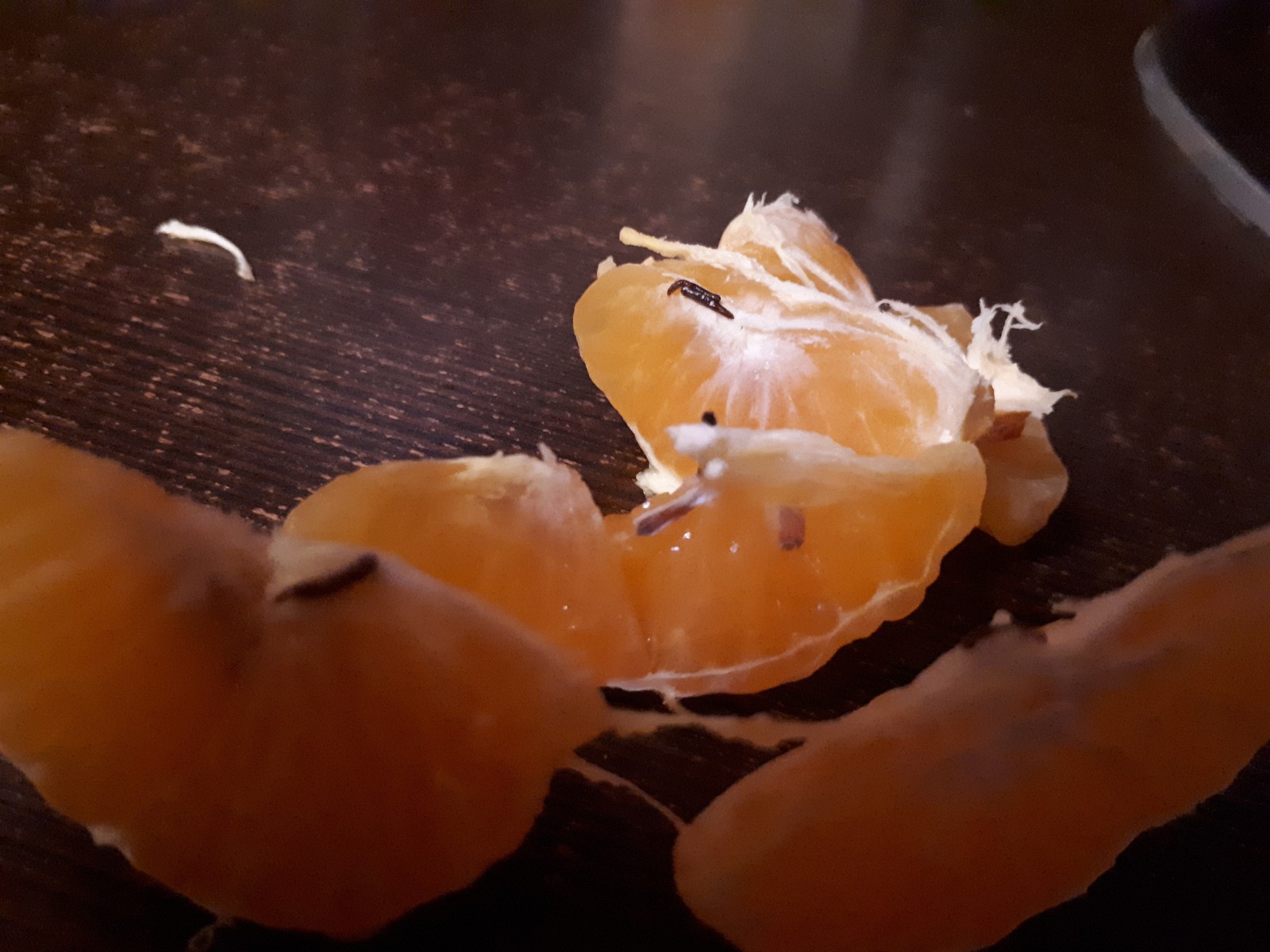 Tangerines a little with worms - My, Tangerines, Pyaterochka, Longpost