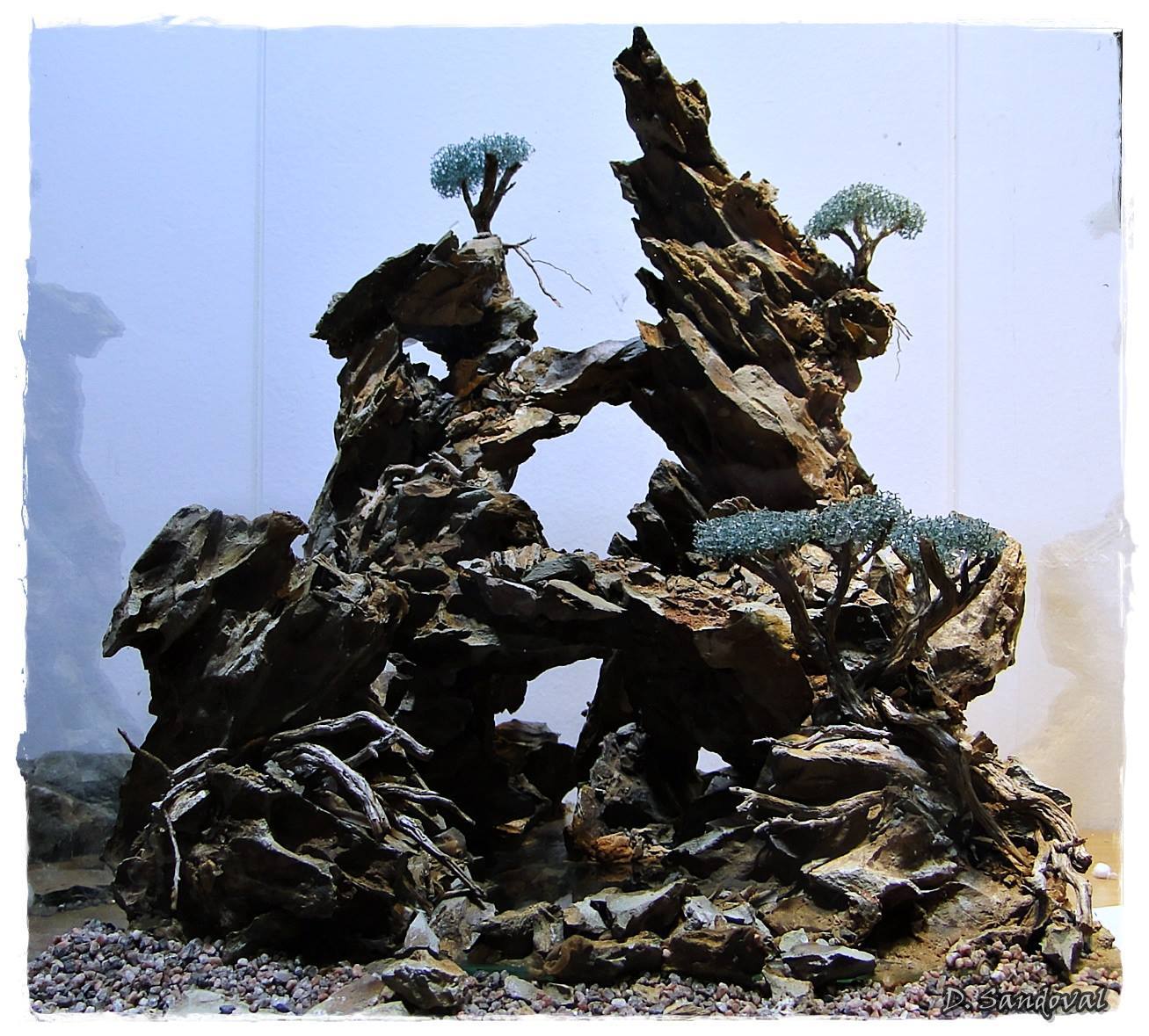 Planting trees in the aquarium - Aquarium, Aquascape, Hardscape, , Longpost