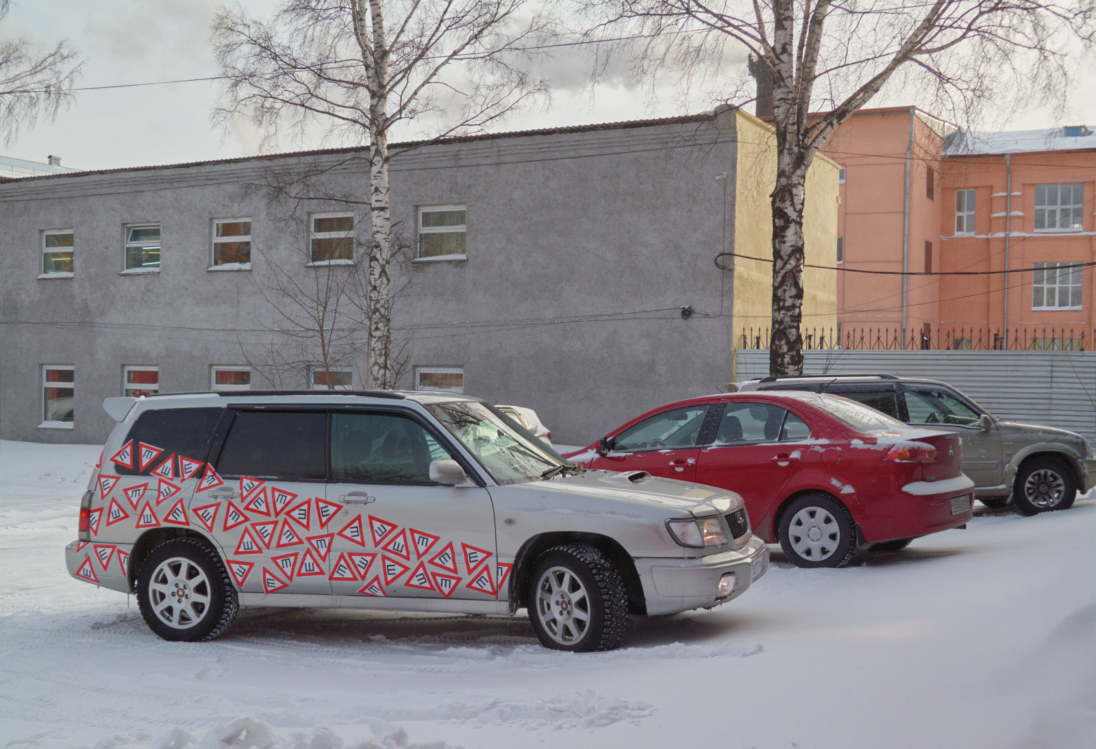 Siberian rosehip - My, Thorns, Siberia, Winter, Sign of the SPIKE, Subaru