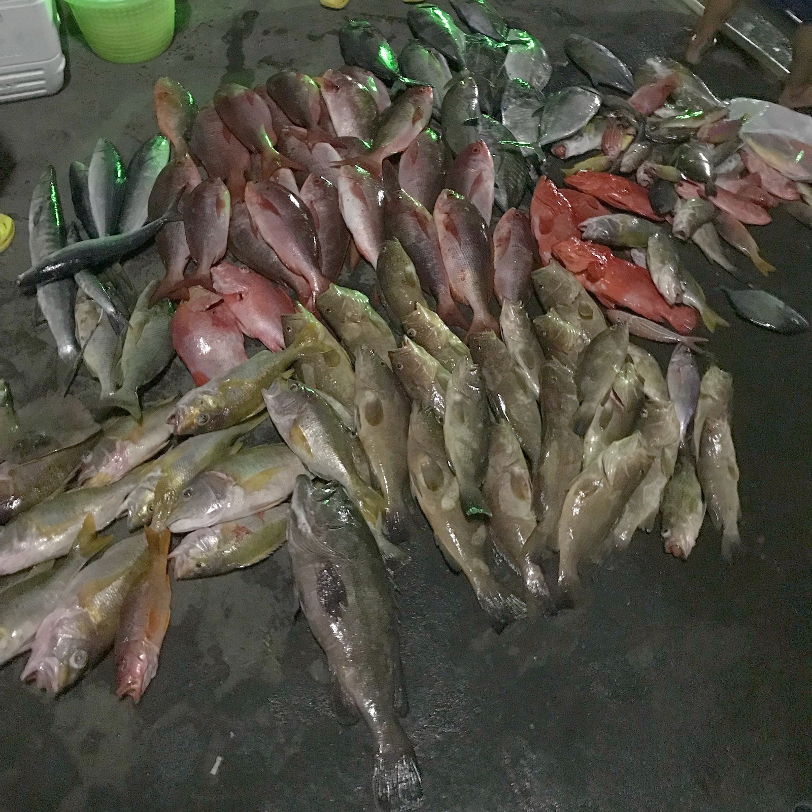 deep sea fishing - My, Fishing, Thailand, Food, A fish, Longpost