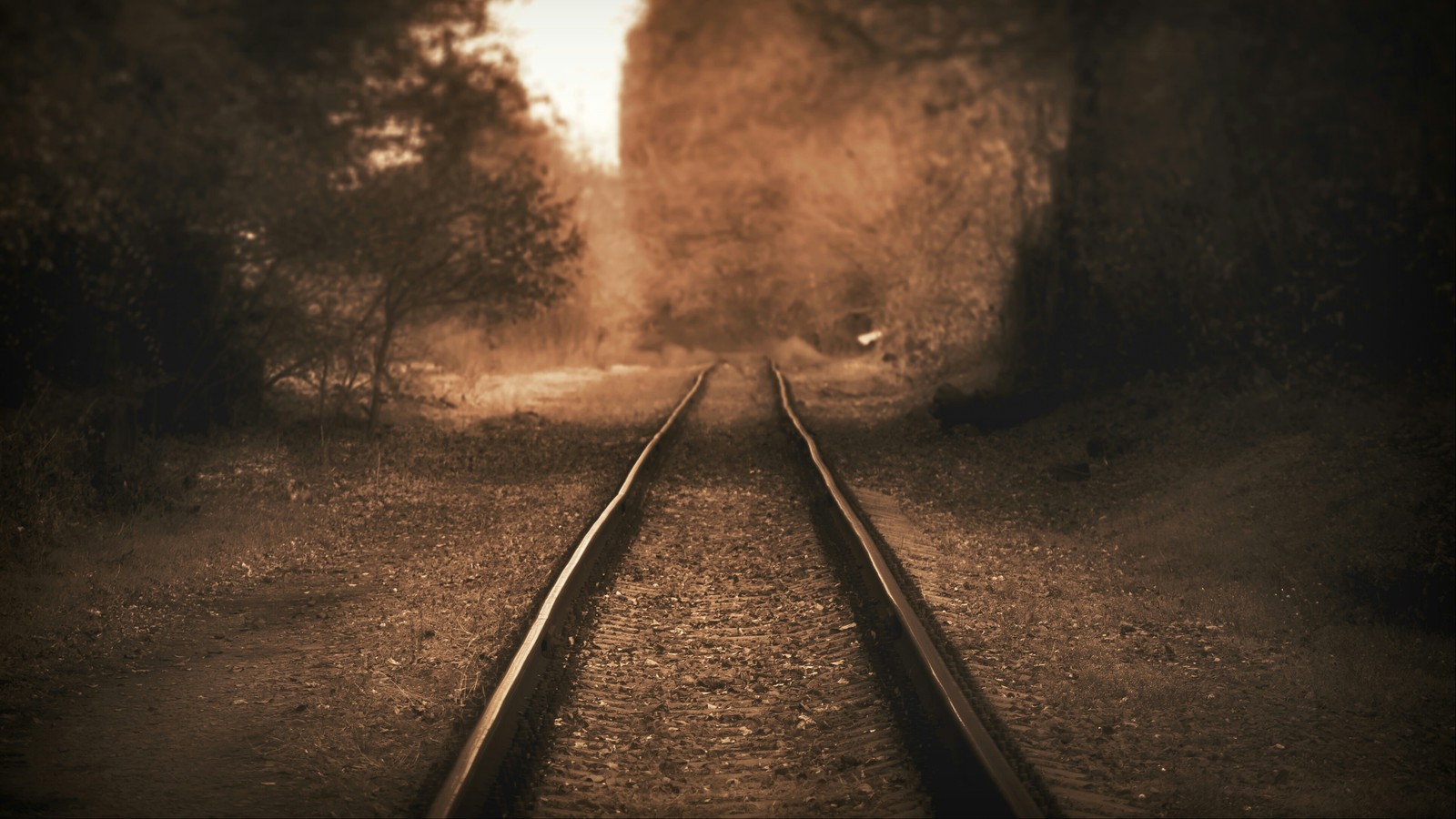 Railway - My, Long exposure, A train, Railway, Rails, Longpost