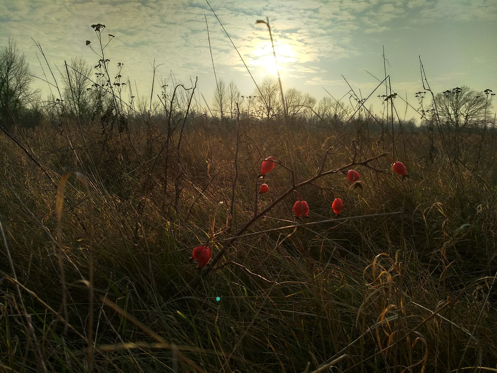 beauty of nature - My, Nature, beauty of nature