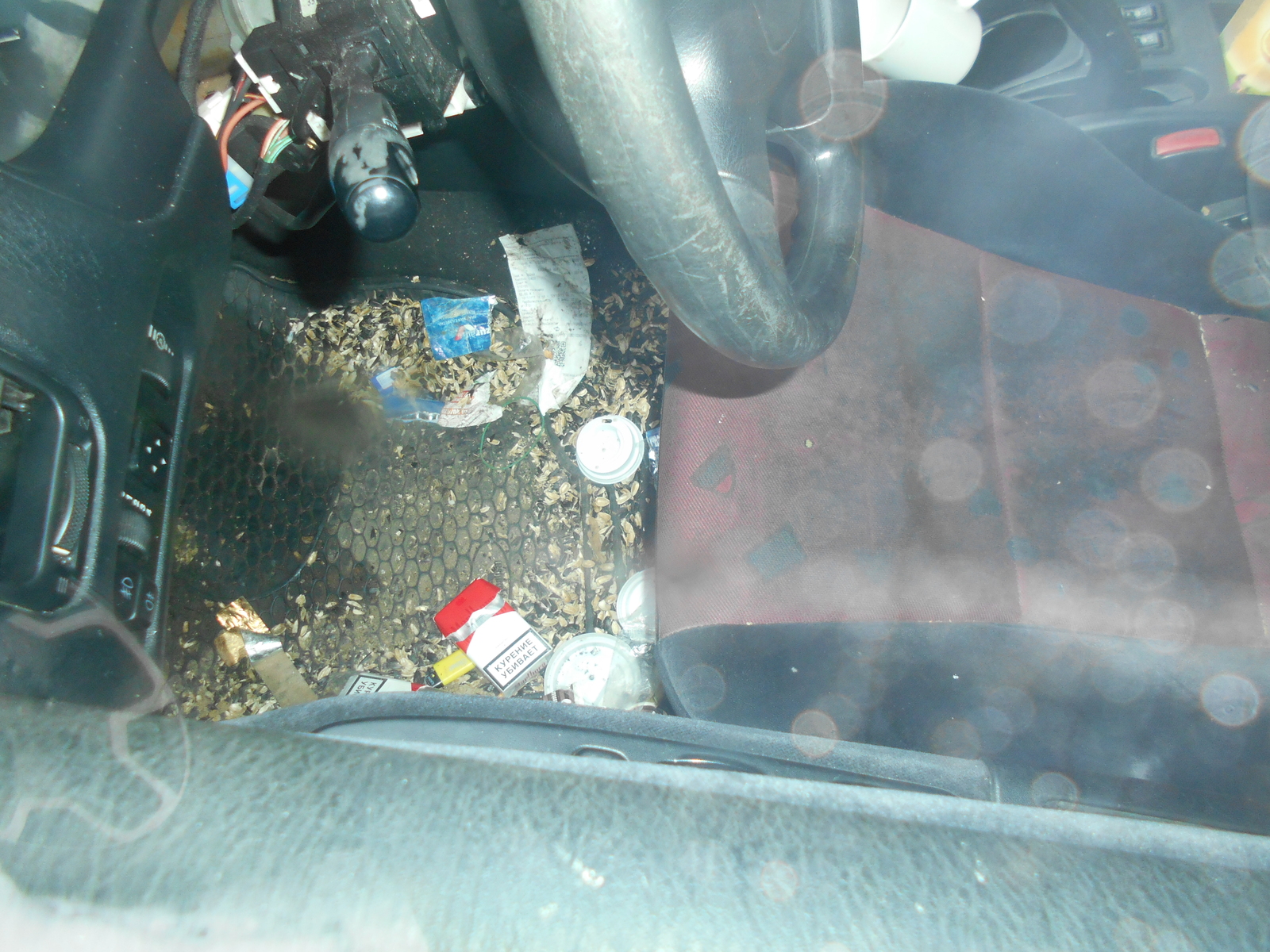 Comfort in the car. - Auto, Garbage, Badly, Seeds, Mess, Moscow, Longpost