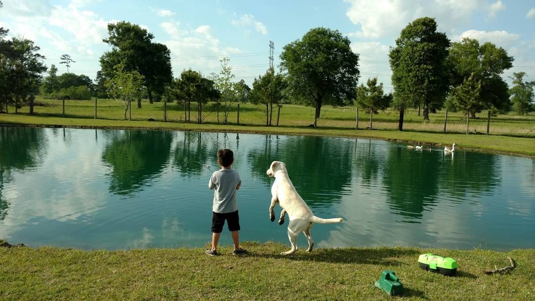 Best friends :) - Dog, Children, Kindness, friendship, Longpost