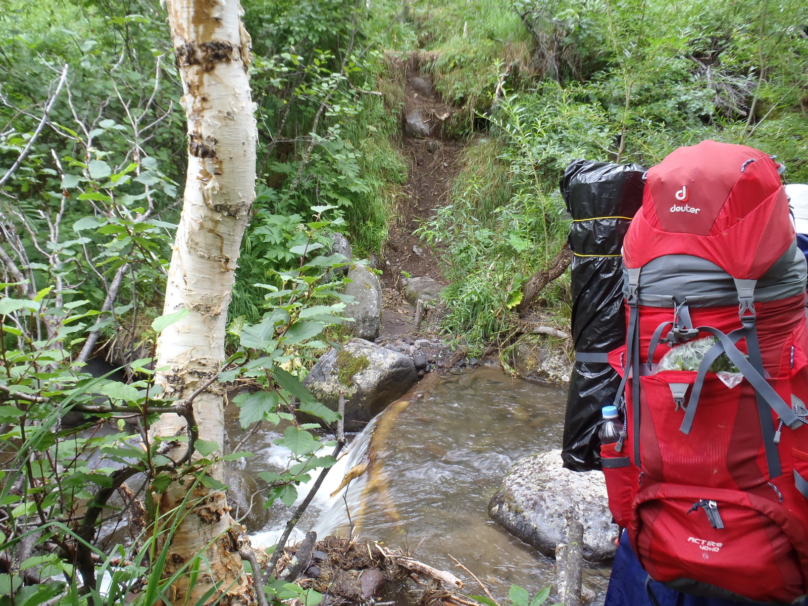 Our race (crawled) to the Bakening volcano. Day two - soaked in dampness, pain and hatred. - My, My, Kamchatka, Tourism, Sodomy, Longpost, , Volcano