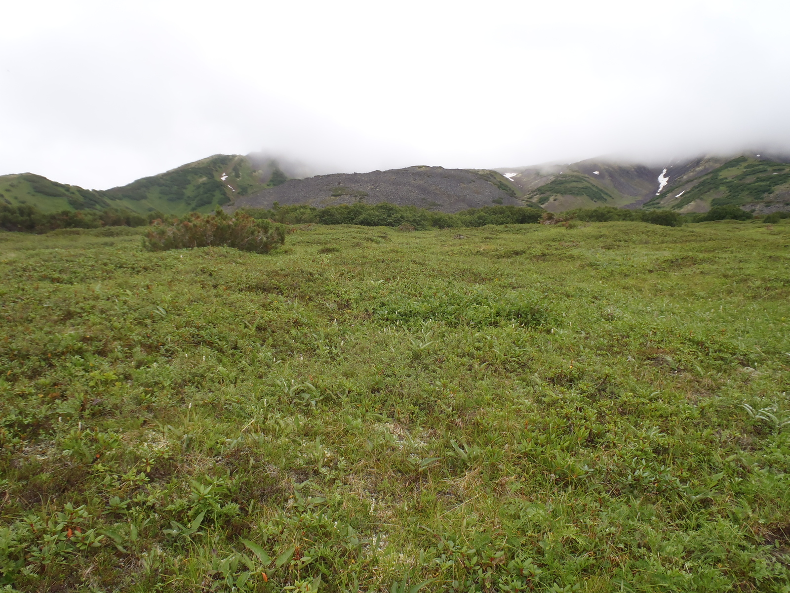 Our race (crawled) to the Bakening volcano. Day two - soaked in dampness, pain and hatred. - My, My, Kamchatka, Tourism, Sodomy, Longpost, , Volcano