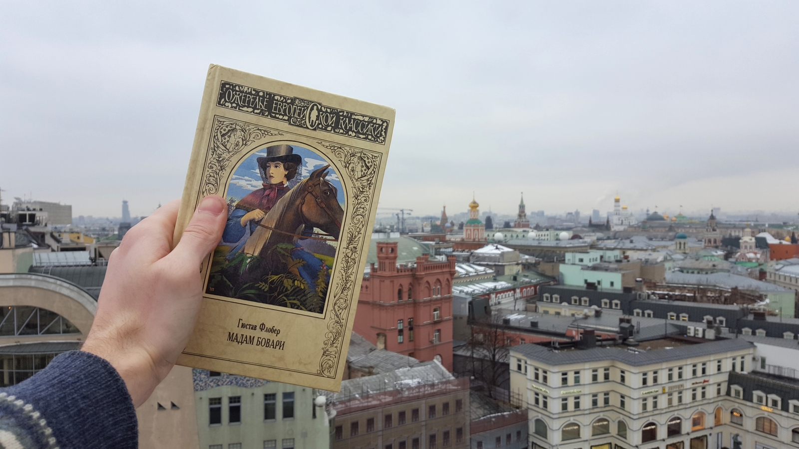 Madame Bovary. - My, Book Review, What to read?, Books, Literature, Review