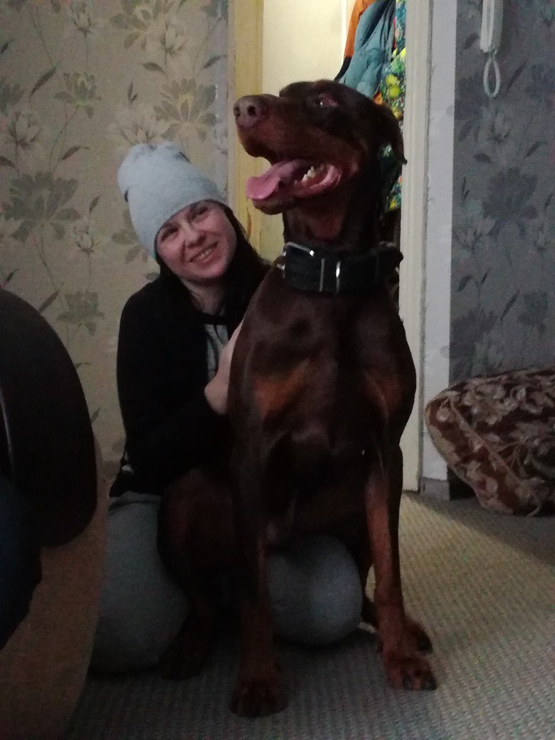 New home for the dog. - My, In a new home, New house, Tver, Doberman, Dog, Cool Dog, Longpost, Help, In good hands, Helping animals