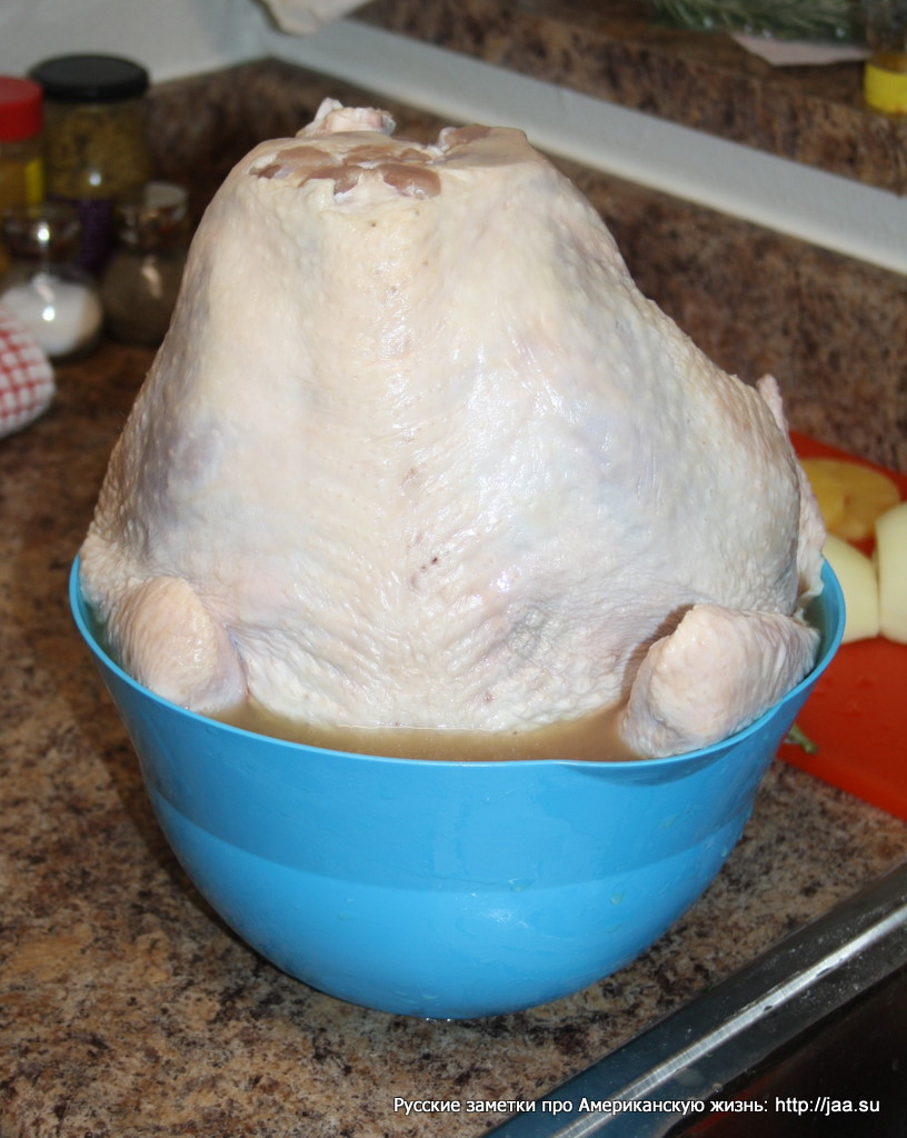 thanksgiving turkey - Food, Recipe, Cooking, USA, Turkey, Meat, Thanksgiving Day, Culinary round-the-world, Longpost