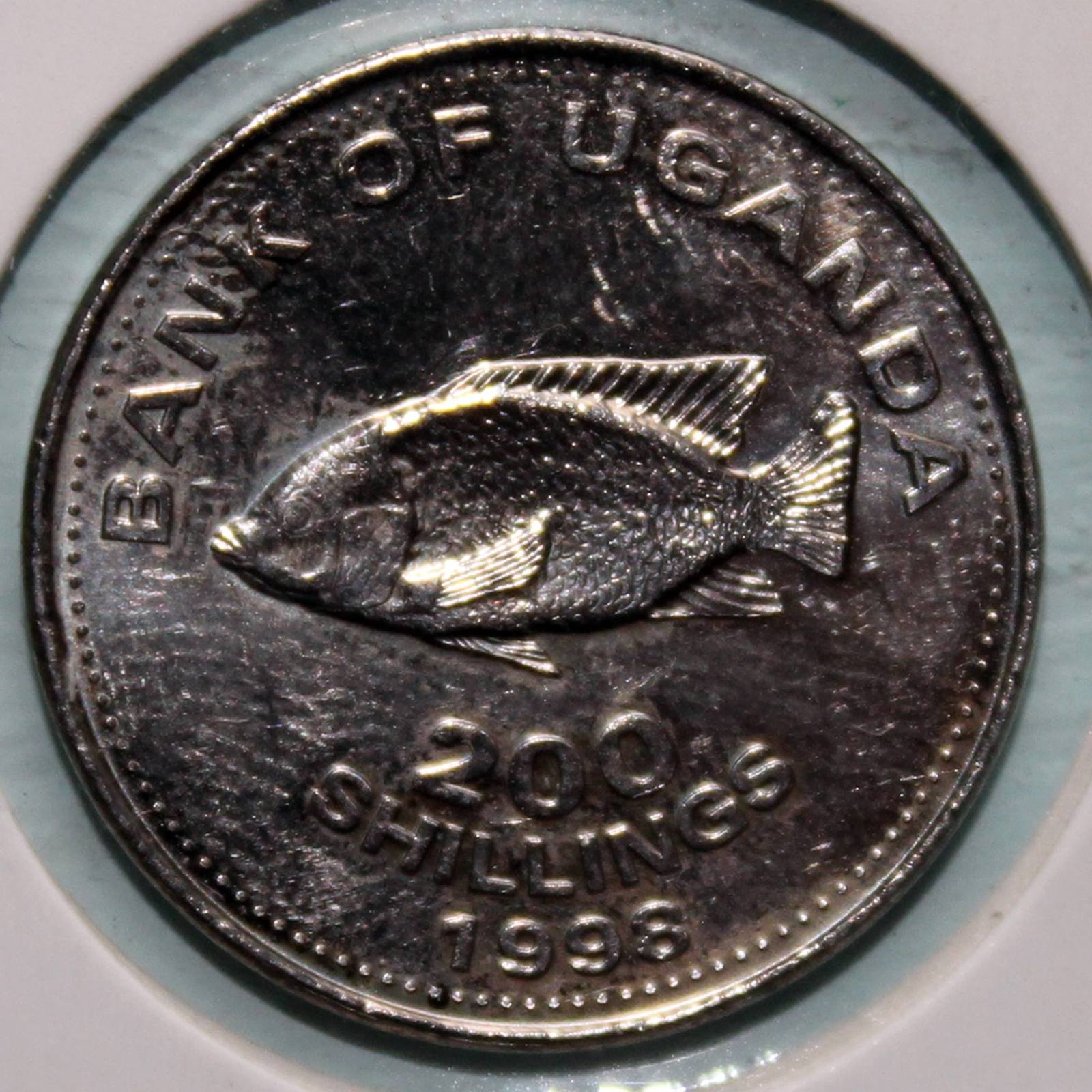 Fish numismatics - A fish, Coin, Numismatics, Longpost