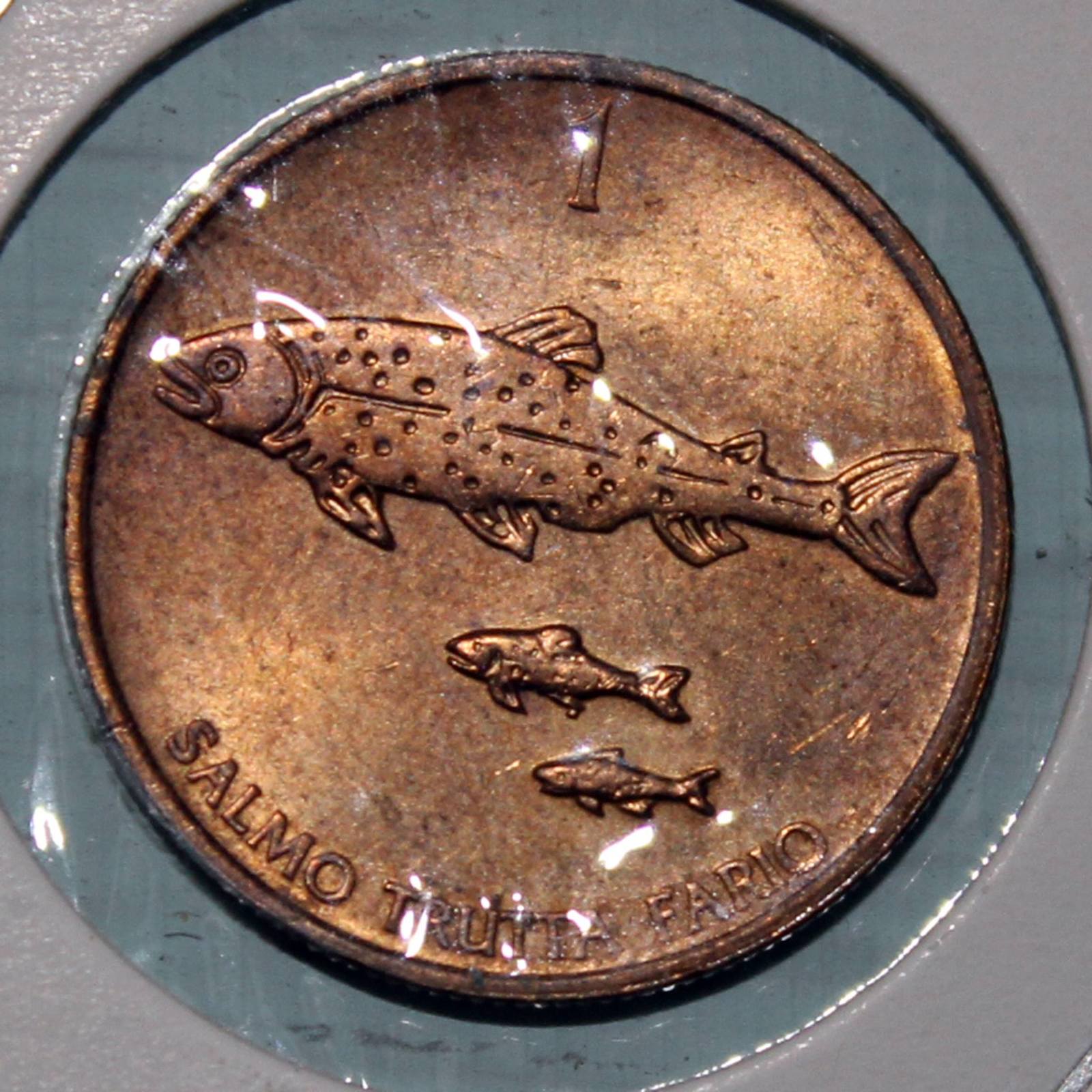 Fish numismatics - A fish, Coin, Numismatics, Longpost