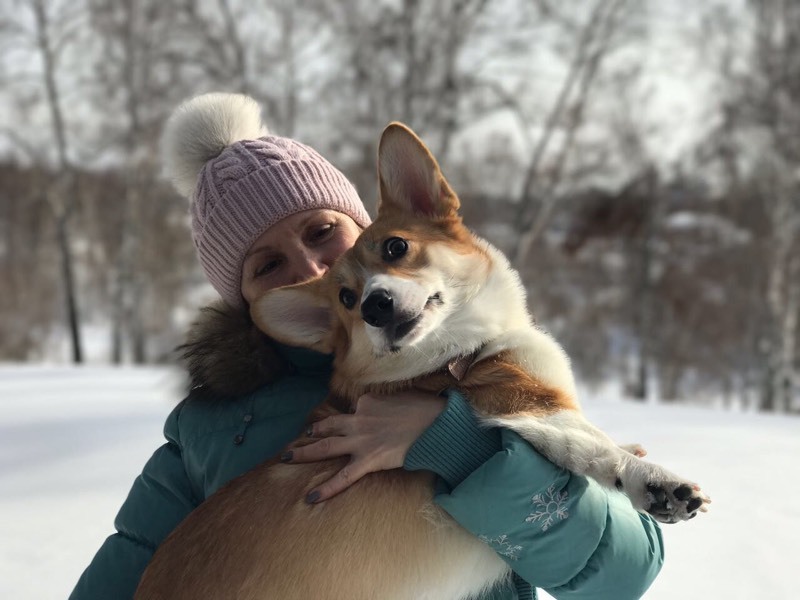 Корги по пятницам, часть постновогодняя, для второй деточки - Моё, Собака, Длиннопост, Корги