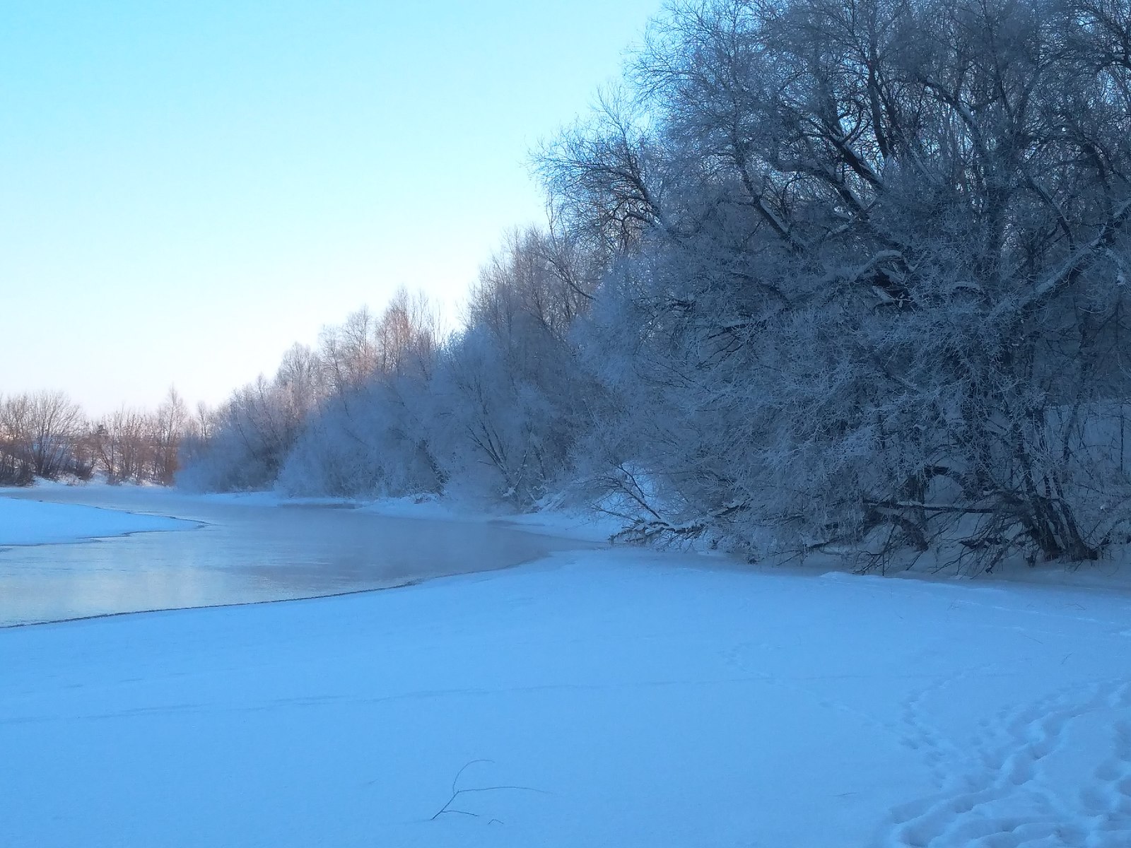 Normal winter - My, Winter, Forest, The photo, Longpost