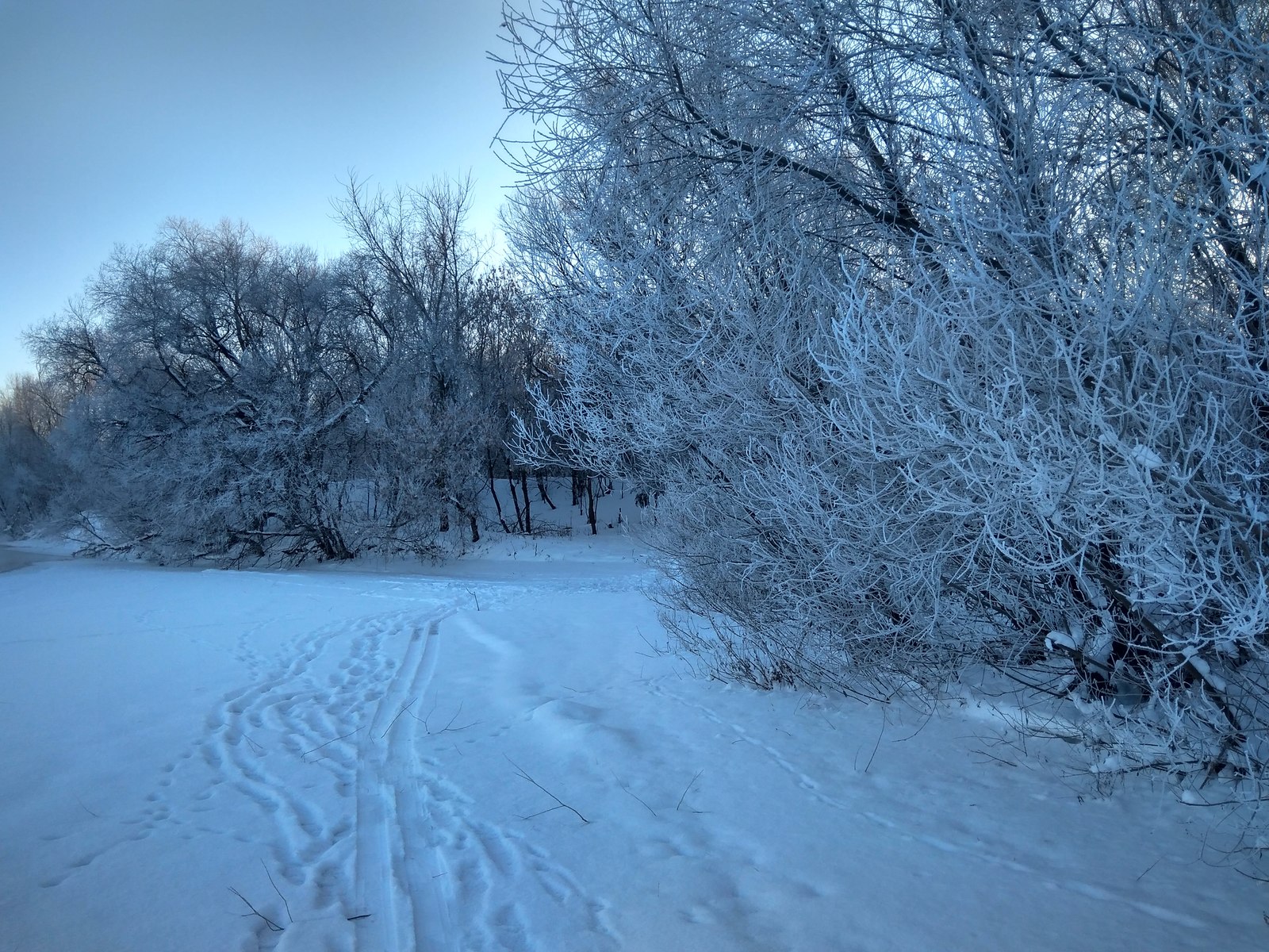 Normal winter - My, Winter, Forest, The photo, Longpost