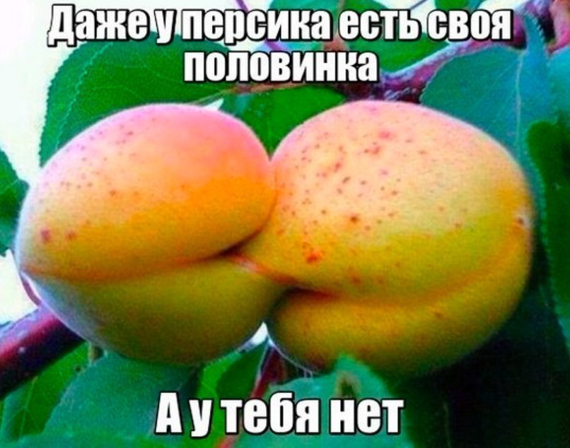 Even a peach has a half - From the network, Humor, Significant other