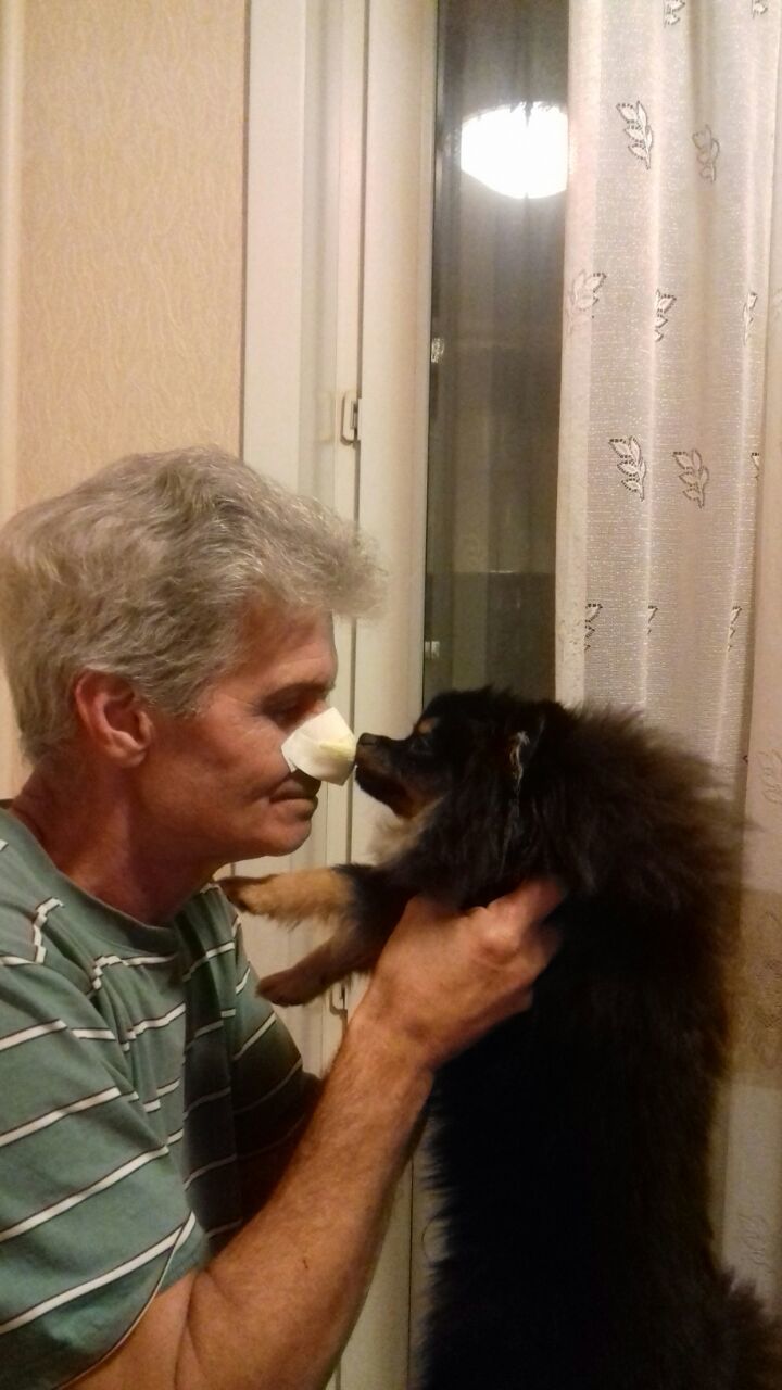 killer dog - My, Dog, Dog attack, Spitz, Grandfather