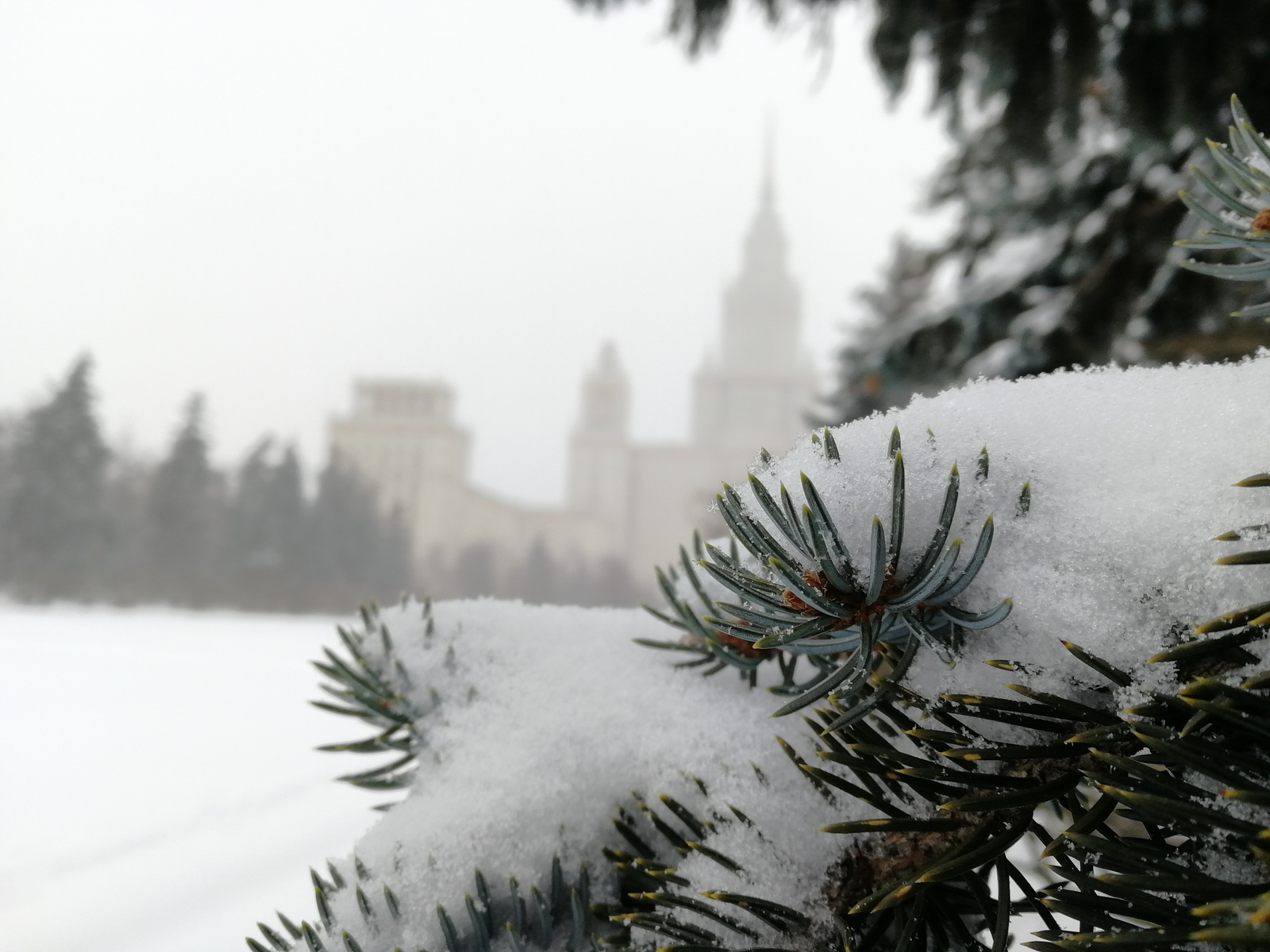 Snowfall in Moscow - My, Snowfall, MSU, Honor 9, Longpost