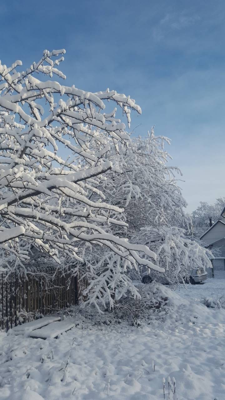 Winter is in full swing - My, Mobile photography, Winter, Republic of Belarus, Samsung Galaxy a5, Photo on sneaker, Longpost