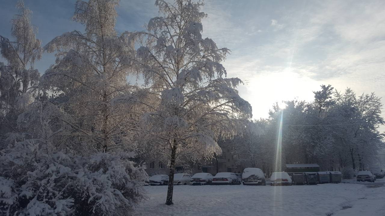 Winter is in full swing - My, Mobile photography, Winter, Republic of Belarus, Samsung Galaxy a5, Photo on sneaker, Longpost