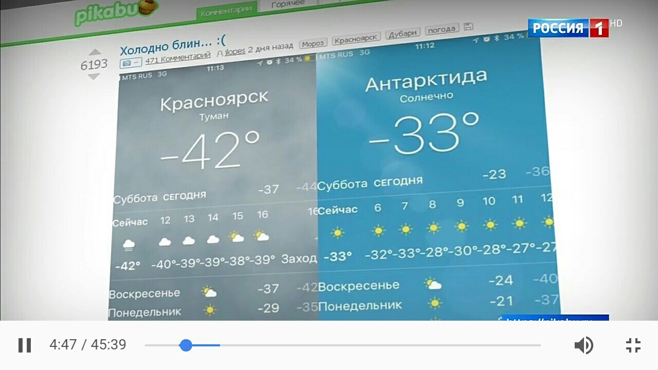 Peekaboo on federal channels. - Channel Russia 1, freezing, Antarctica