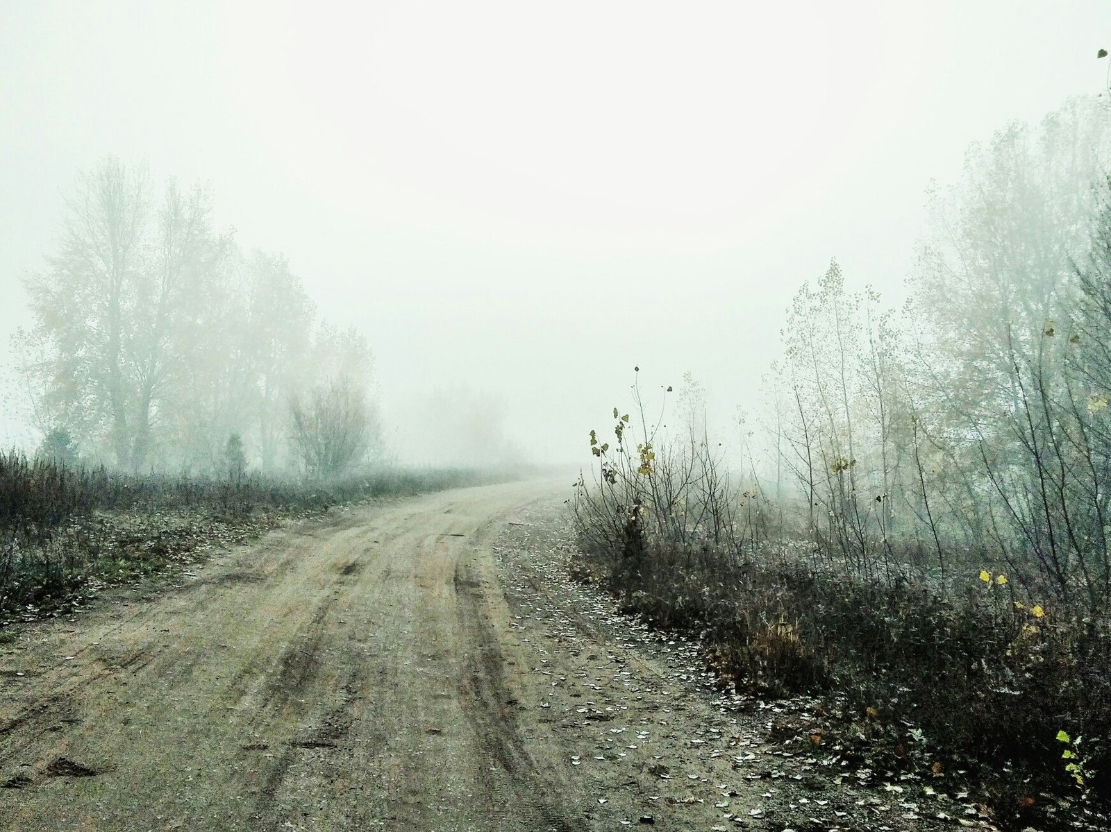 One morning - My, The photo, Fog, Landscape, Longpost