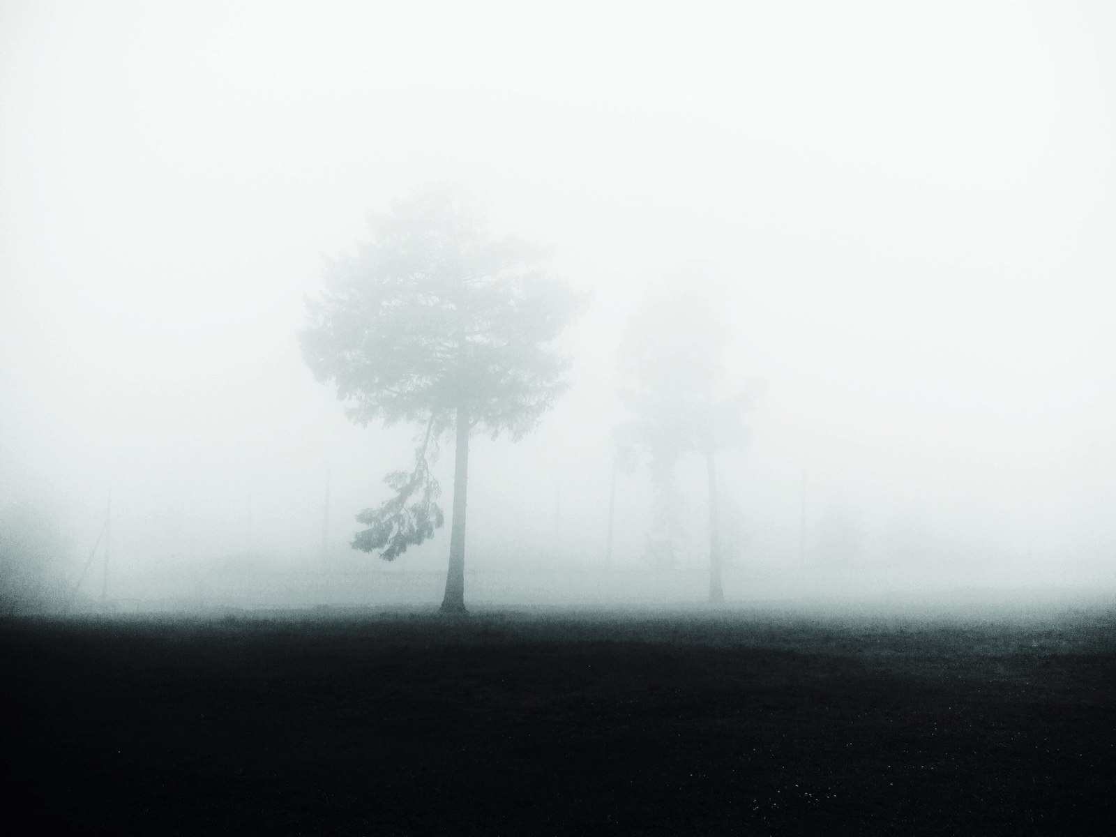 One morning - My, The photo, Fog, Landscape, Longpost