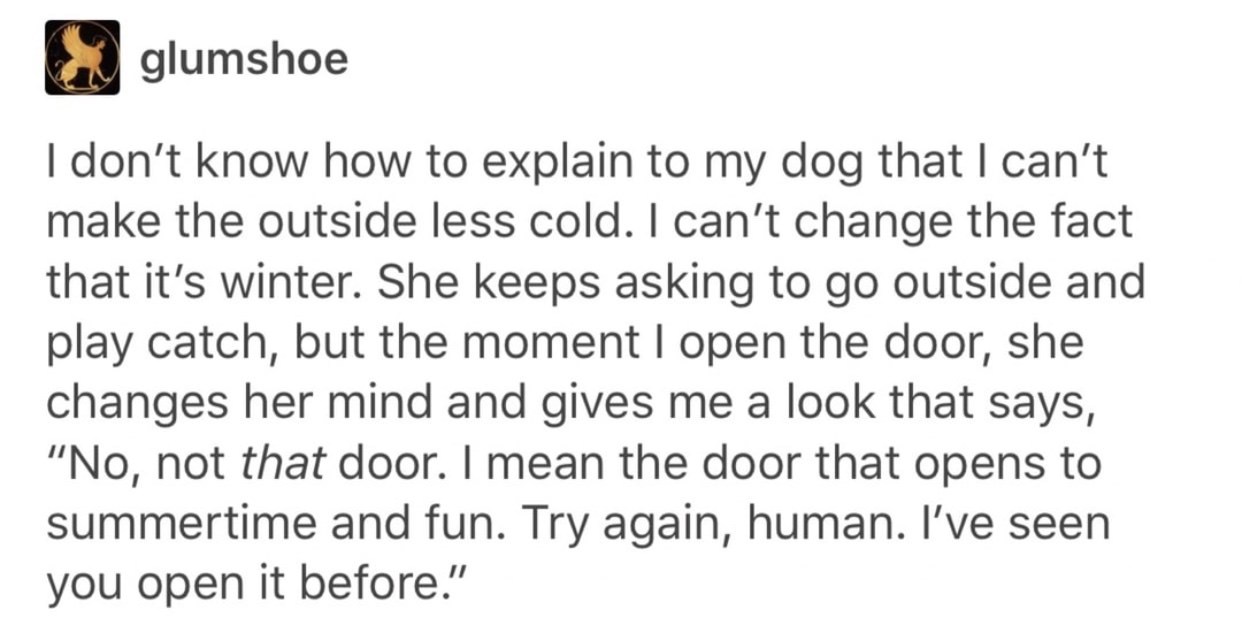 Winter. - Dog, Winter, Cold, Humor, Animals, Ifunny