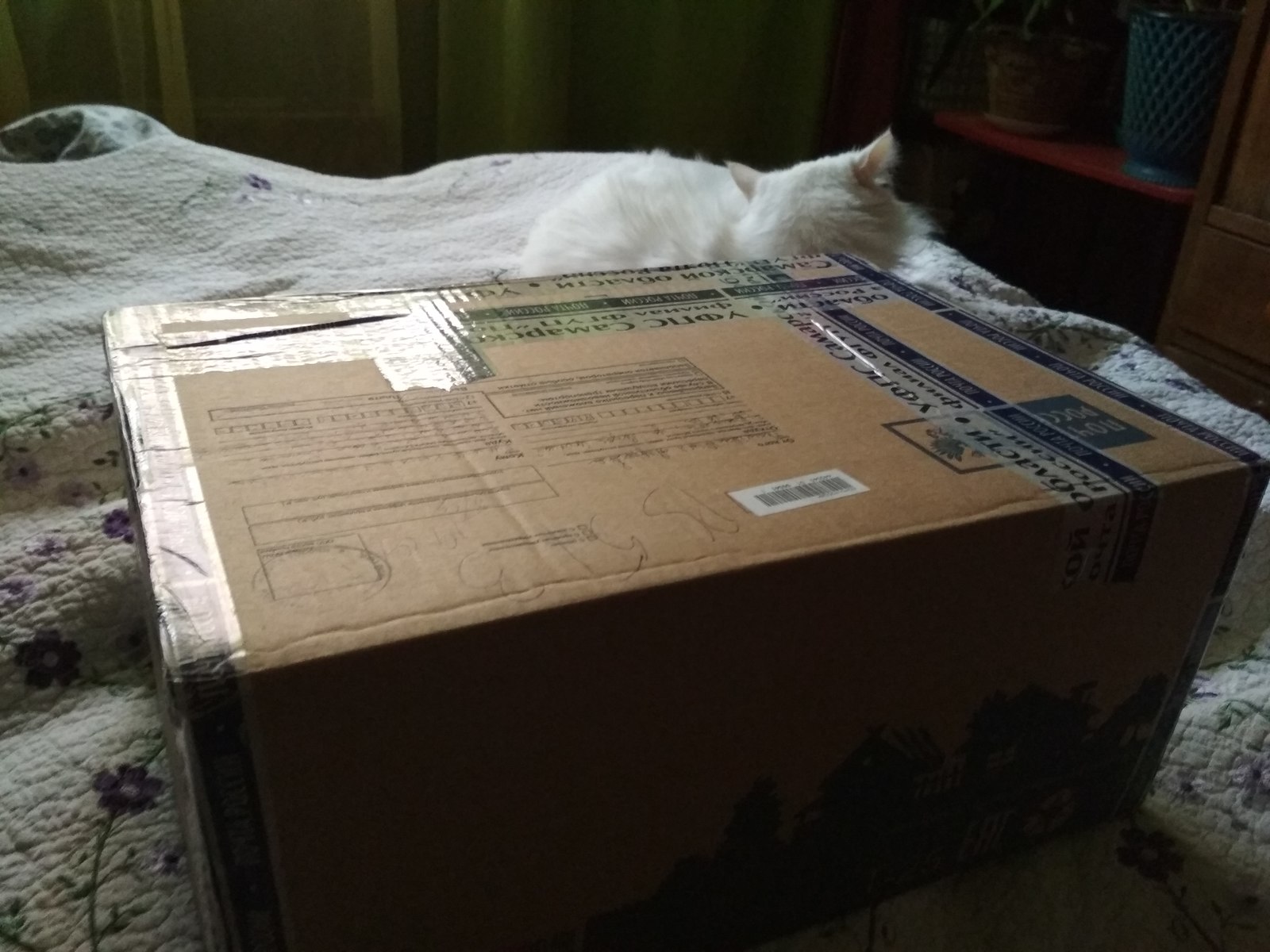 Thanks a lot to the snow maiden - altruist from Togliatti. - My, Thank you, Gift exchange, Joy, Longpost