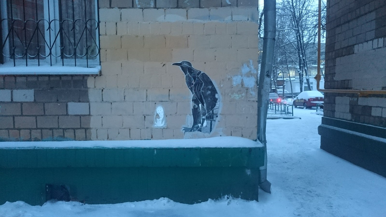 Пингвин в московском дворе - Моё, Пингвины, Москва, Необычное, Двор, Следопыт, Длиннопост