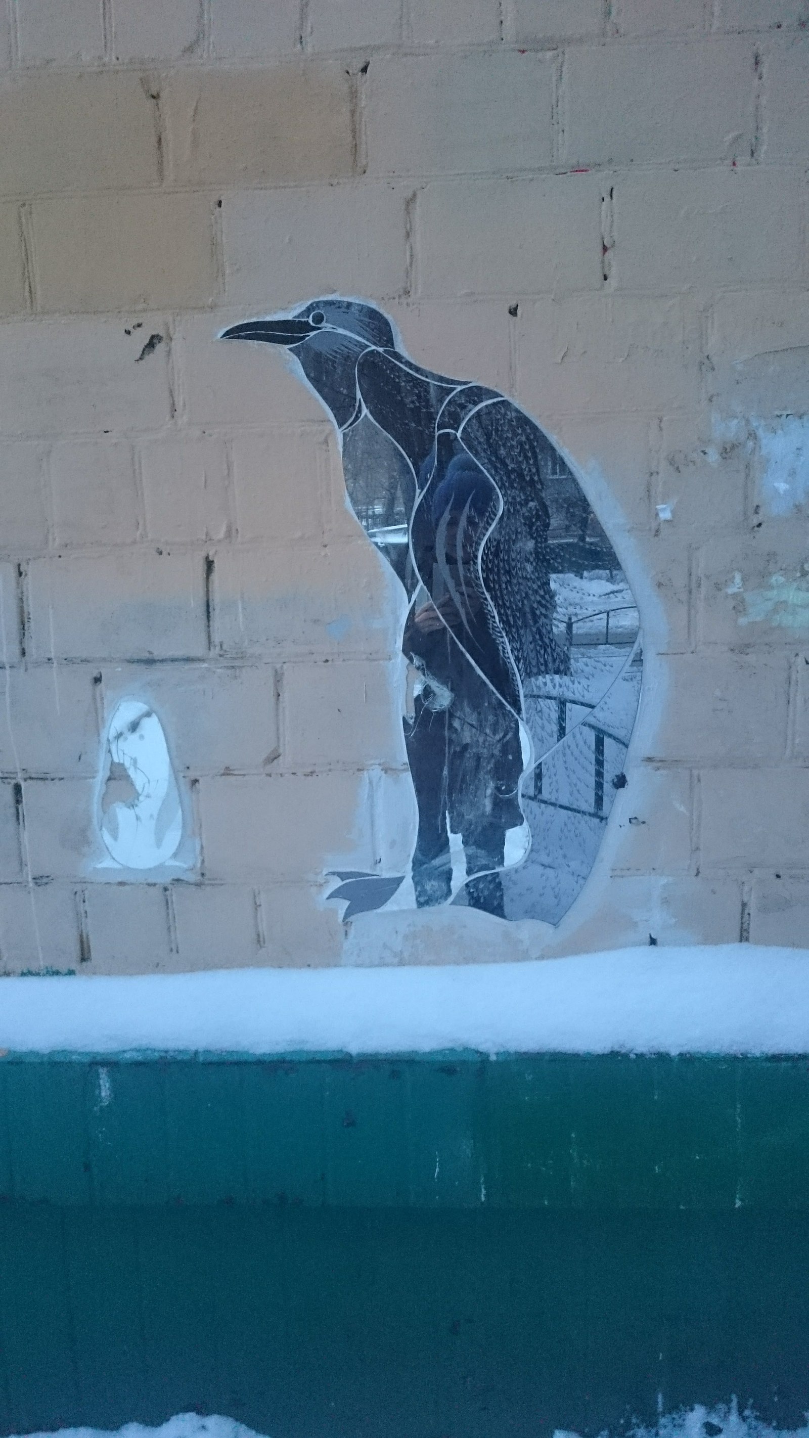 Penguin in the Moscow courtyard - My, Penguins, Moscow, Unusual, Courtyard, Pathfinder, Longpost