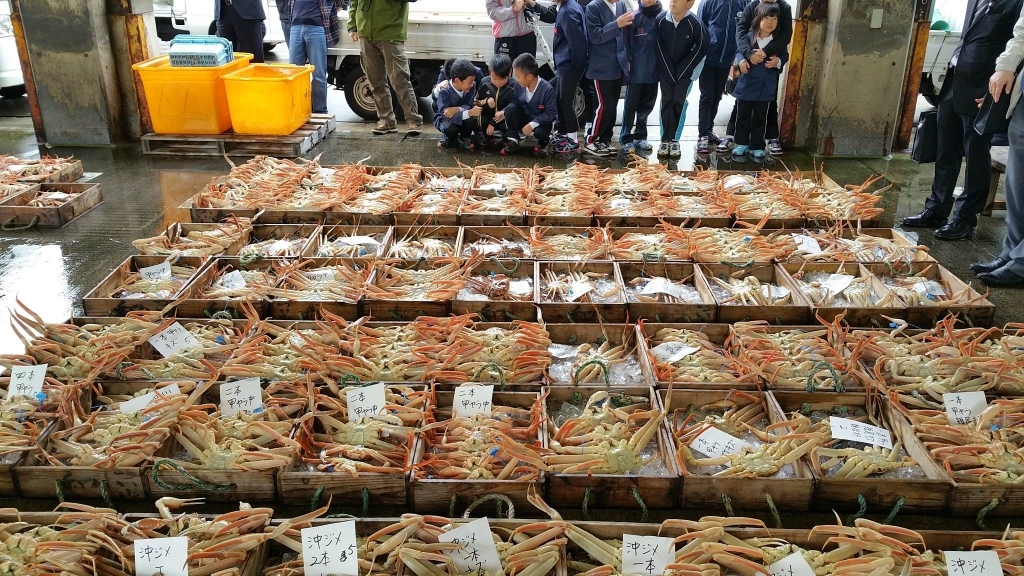 Аукцион япония ру. Рыбный рынок Япония аукцион. Торги рыбой.