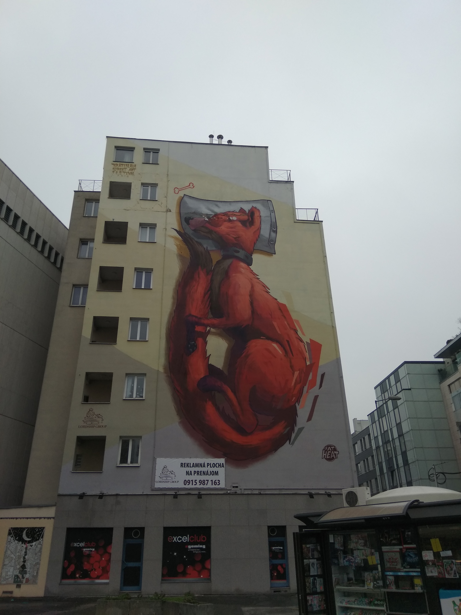 Граффити лисы в Калининграде