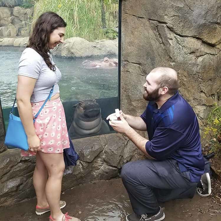 Fiona at the Cincinnati Zoo turned one year old yesterday! - hippopotamus, Birthday, Zoo, Longpost