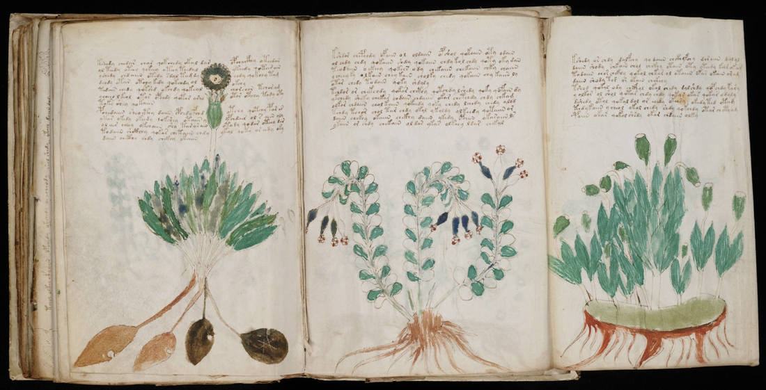 A book that cannot be read. Why has no one revealed the secret of the Voynich manuscript? - Story, Art, Mystic, Books, Alchemy, Longpost