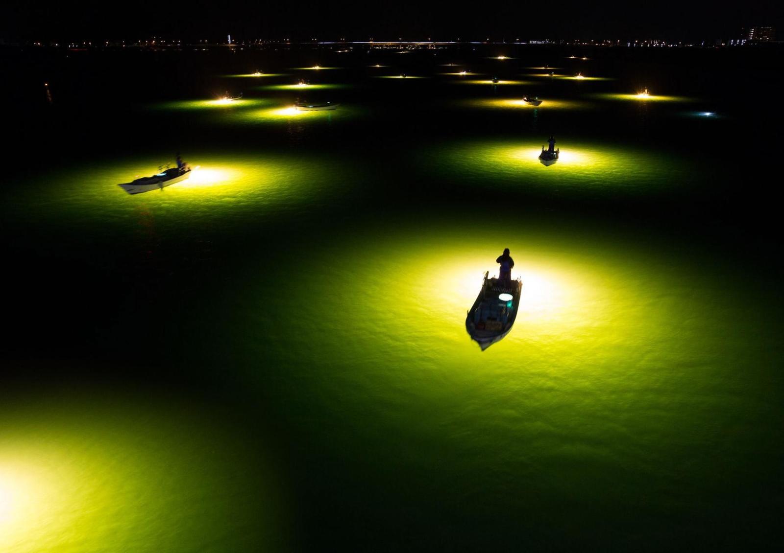 Fishing for eels in Tokushima, Japan - The photo, Travels, Japan, Fishing