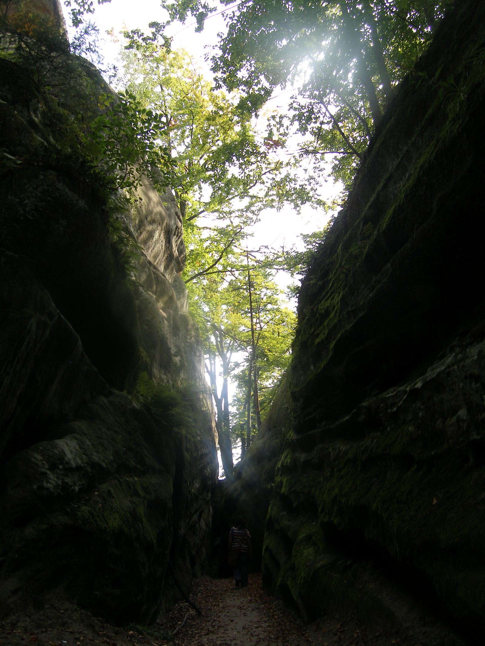 Dovbush rocks in the Carpathians - My, The rocks, The mountains, Carpathians, Nature