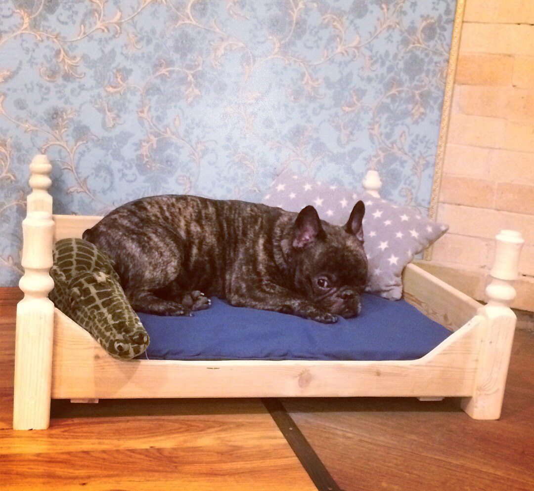 Do-it-yourself bed for your beloved dog - My, Lounger, Crafts, With your own hands, Longpost