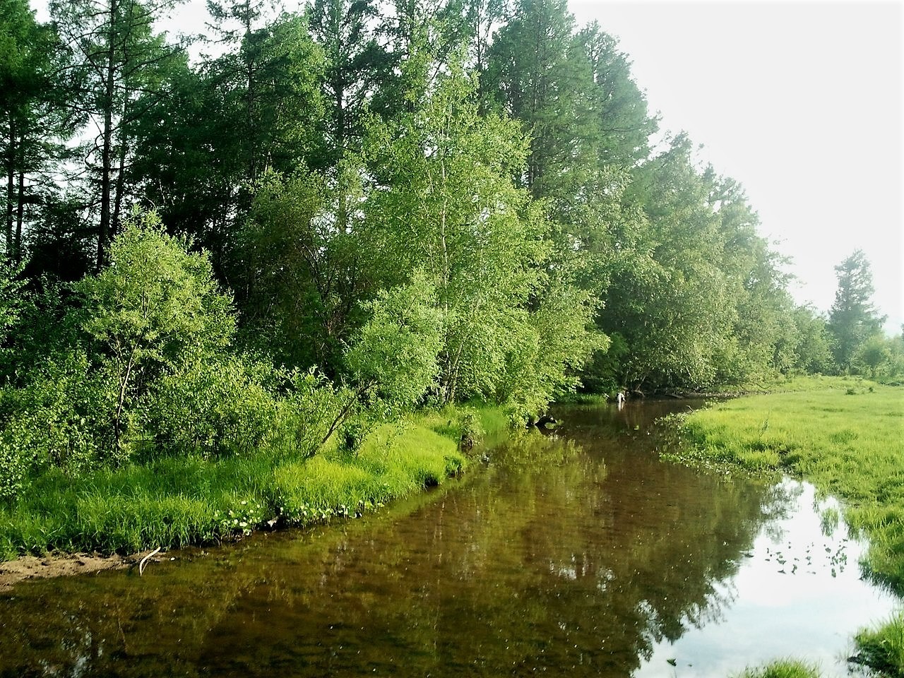 Красота Хакасской природы. - Моё, Лето, Деревня, Красота природы, Хакасия, Длиннопост