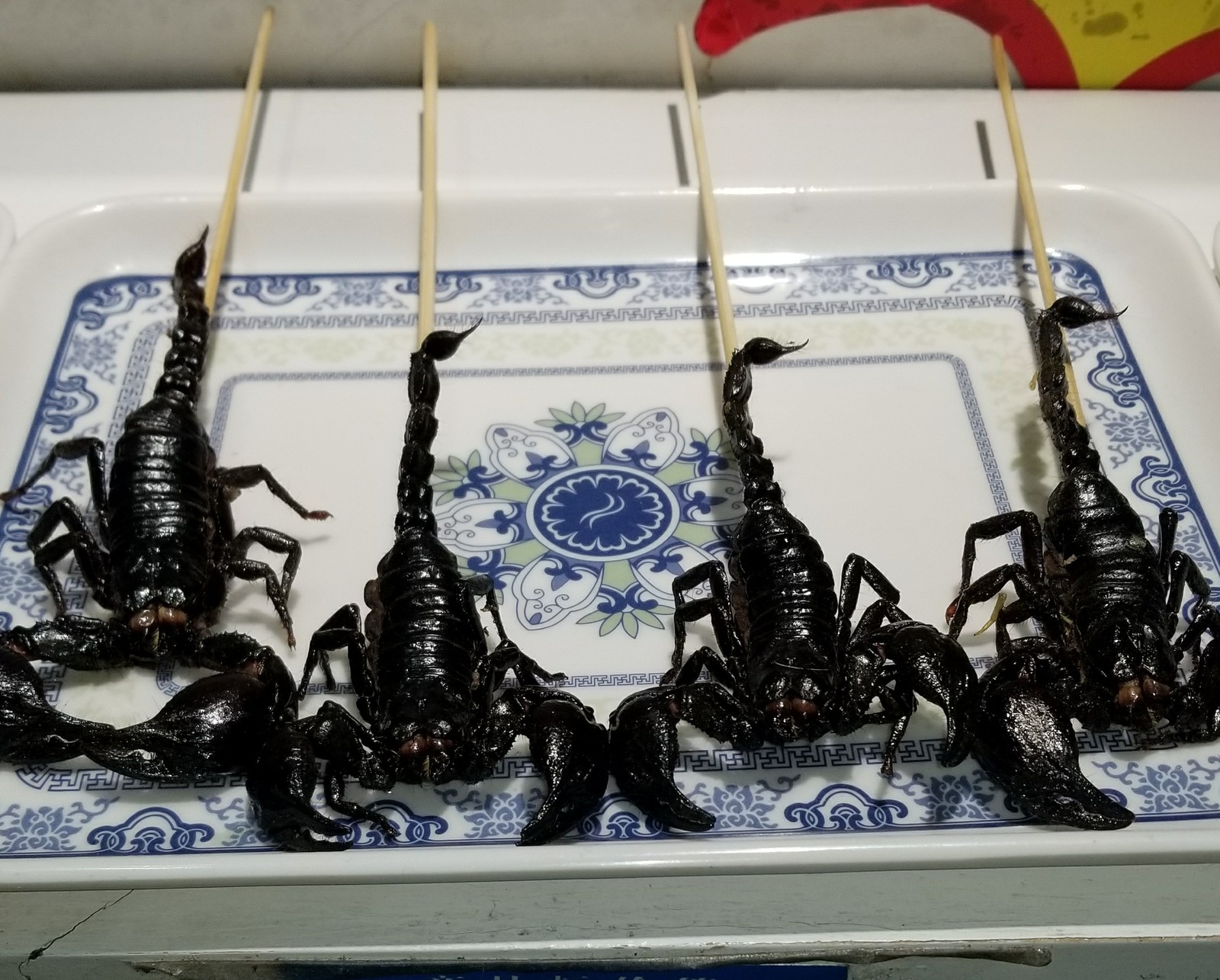 About Chinese food - Food, China, Scorpion, Longpost