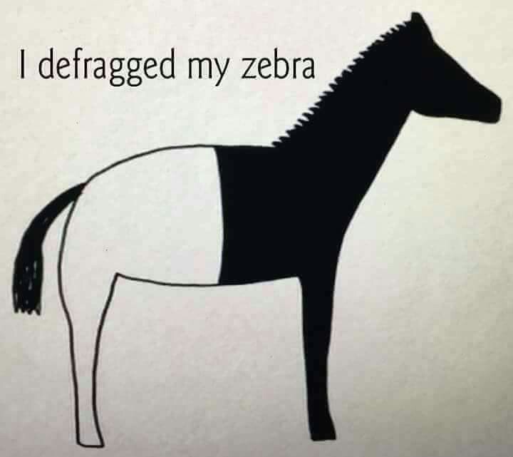 Defragmentation - zebra, Defragmentation, The photo