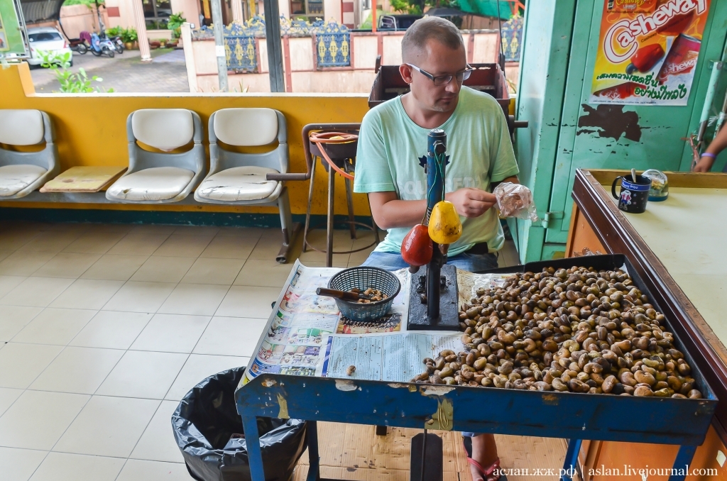 How cashews are grown and processed - My, Cashew, Thailand, Nuts, Longpost