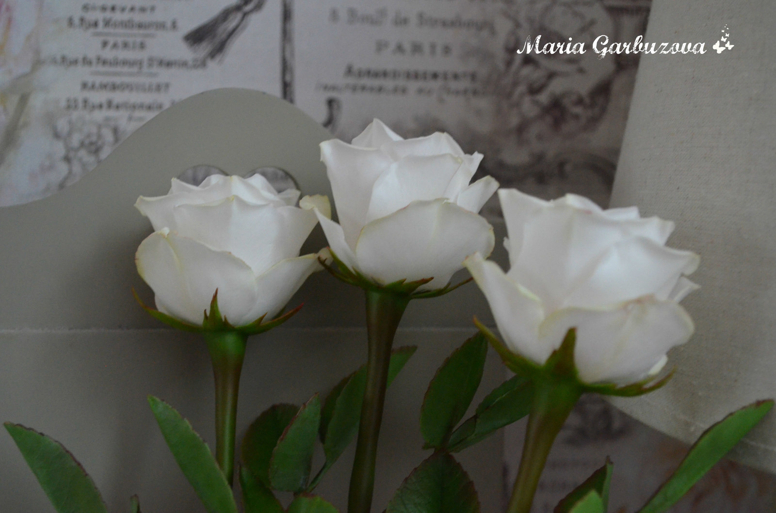 Cold porcelain handmade roses - My, Cold porcelain, With your own hands, Longpost