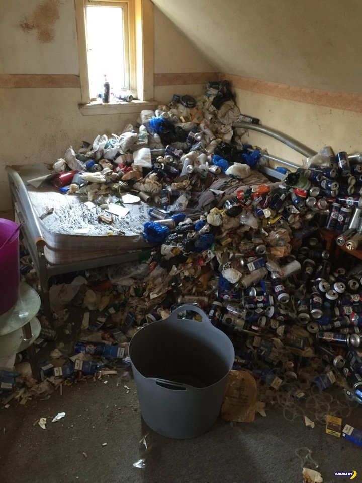 This is not a tenant, but a beer pig demon. - Srach, Mess, Beer can, Great Britain, Longpost