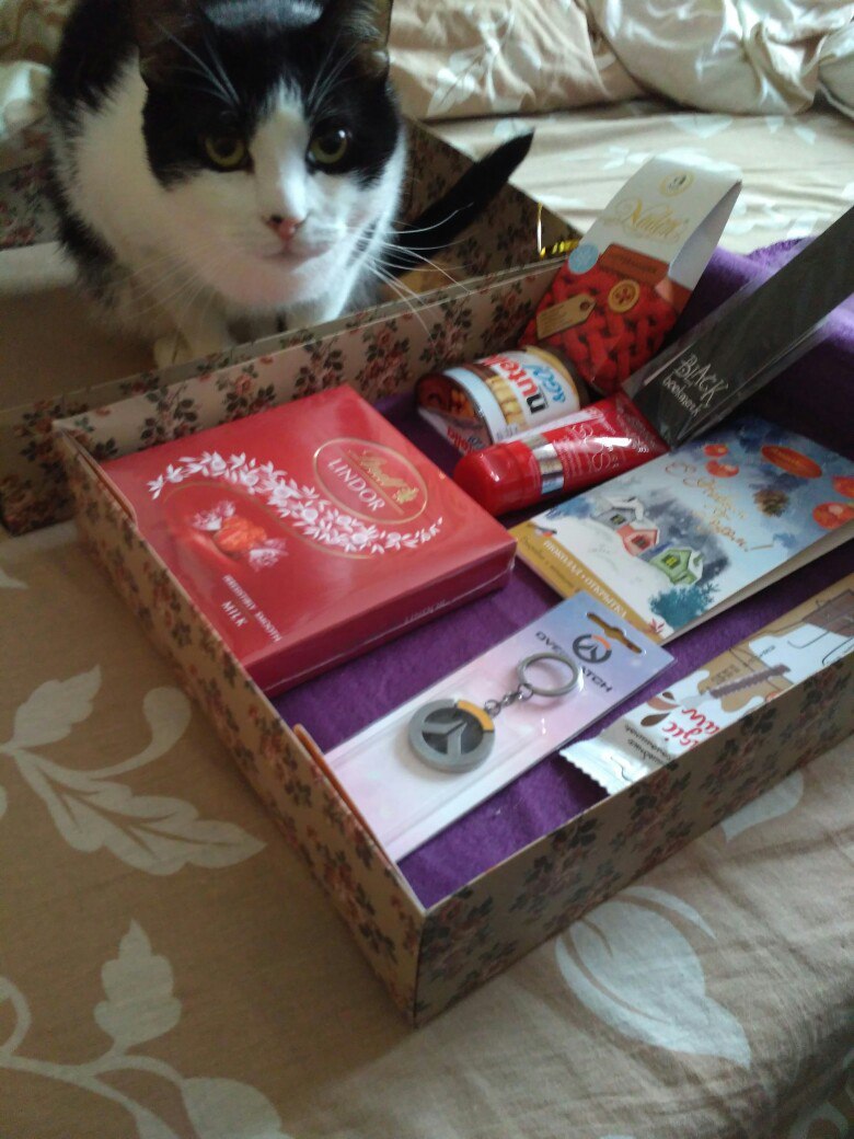 Thanks to the altruist from Serpukhov - My, Gift exchange, Thank you, Secret Santa, cat, Miracle, Longpost