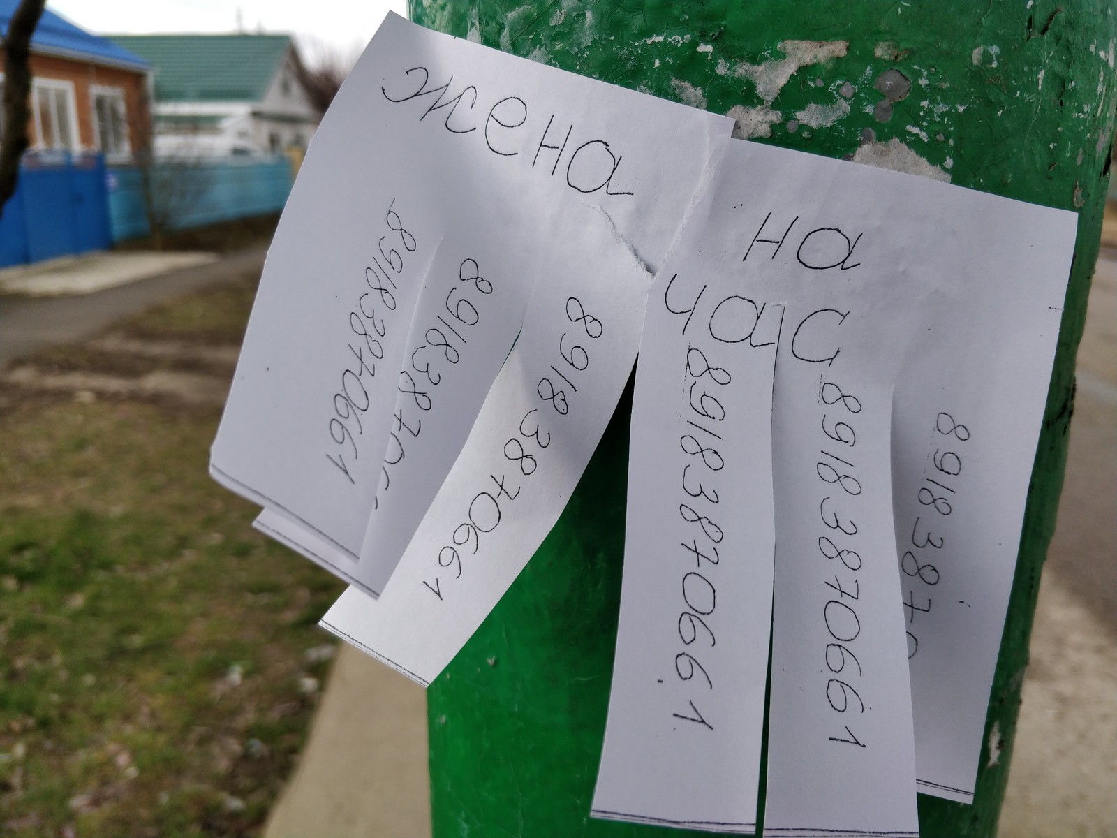 Sfotkal today at the bus stop while waiting for the minibus. - My, Announcement, Wife