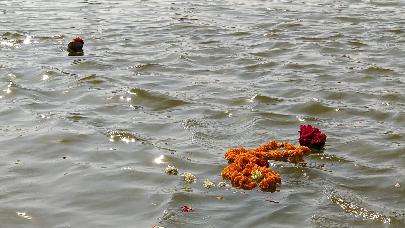 A little trip to big India 9 - My, River, India, Travels, The photo, sacred place, Longpost