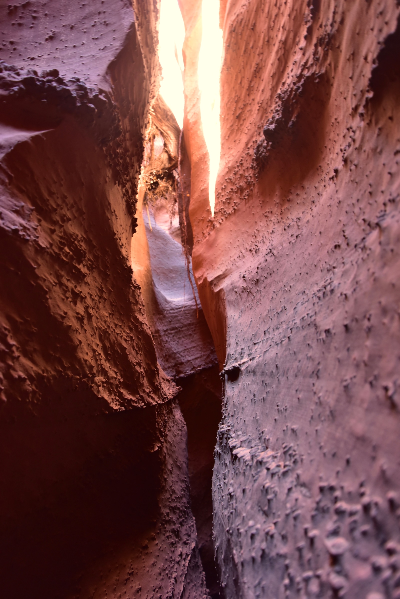 Peekaboo Canyon and Spooky Canyon. Part 1 - My, Canyon, Peekaboo, The photo, Utah, USA, Longpost